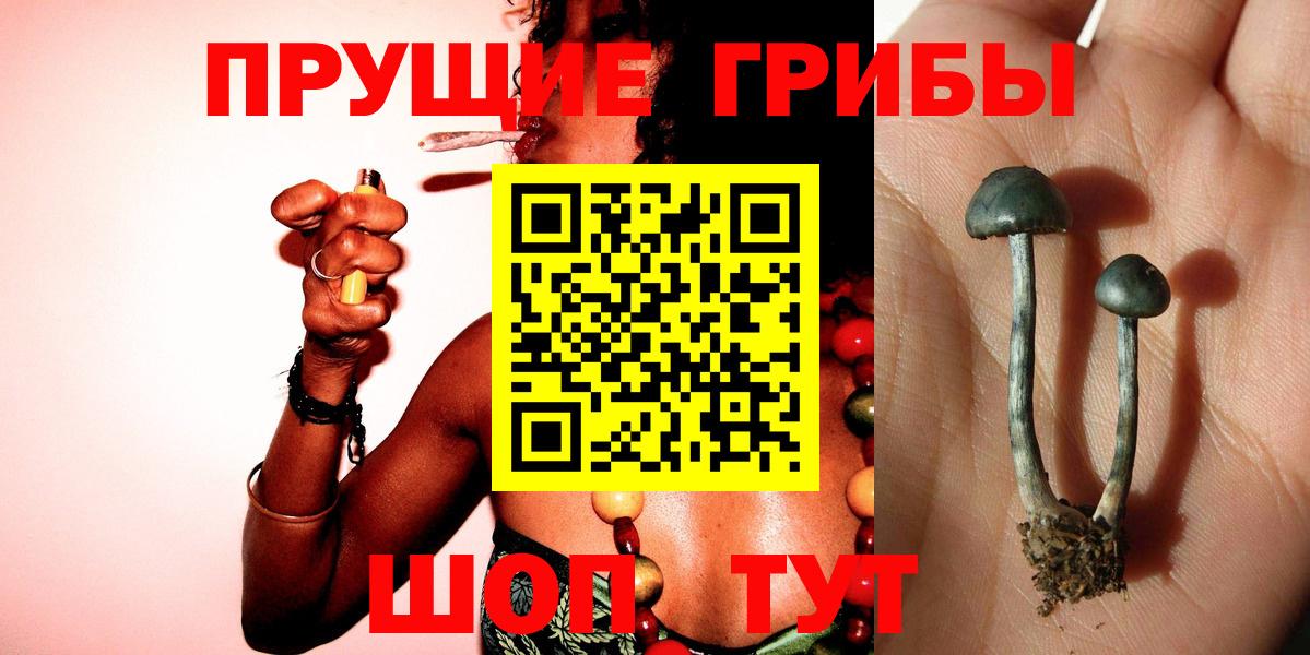Псилоцибиновые грибы Magic Shrooms  Вход с VPN  купить  цена  Псилоцибиновые грибы мухоморы  Зима 